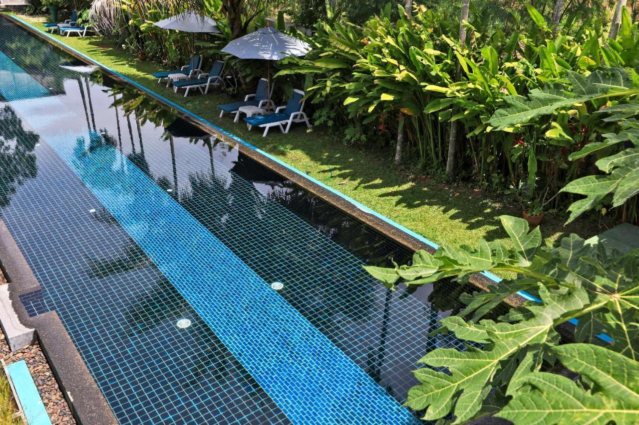 Tea Tree Boutique Resort Rawai Bagian luar foto